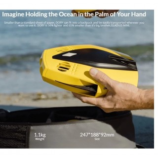 Chasing Dory Underwater Drone - Drone Bawah Air Chasing Dory Chasing Original